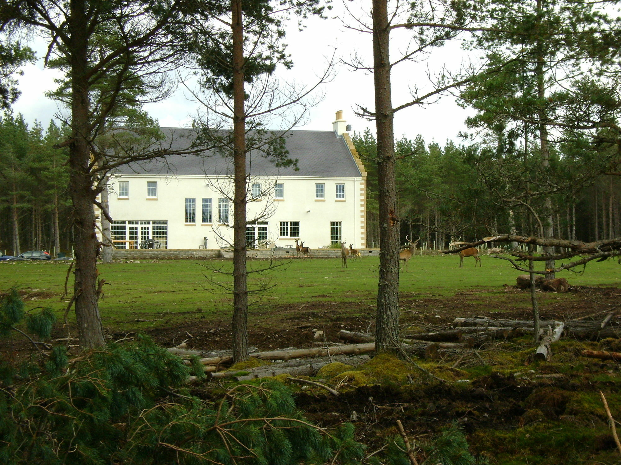 Bed and Breakfast Dinichean House Daviot  Екстер'єр фото